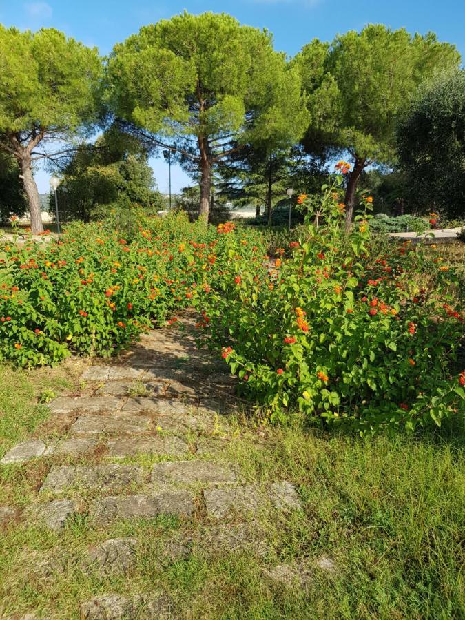 Relais D 'Itria Panzió Grottaglie Kültér fotó